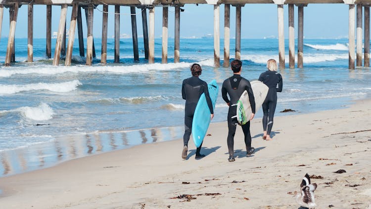 Surfers Walking On The Shore While Carrying Their Surfboards