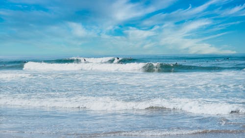 Free Surfers in the Ocean Stock Photo