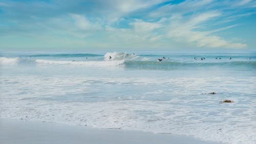คลังภาพถ่ายฟรี ของ surfboarders, การพักผ่อนหย่อนใจ, กิจกรรม