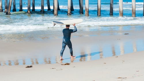 Gratis stockfoto met Californië, dragen, golven