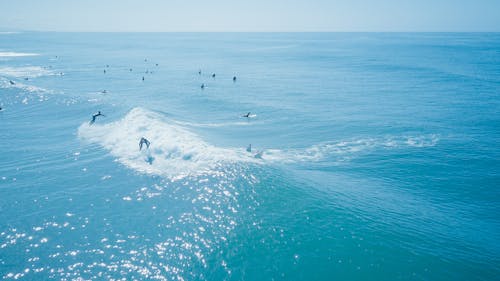 Photos gratuites de activité, californie, faire du surf
