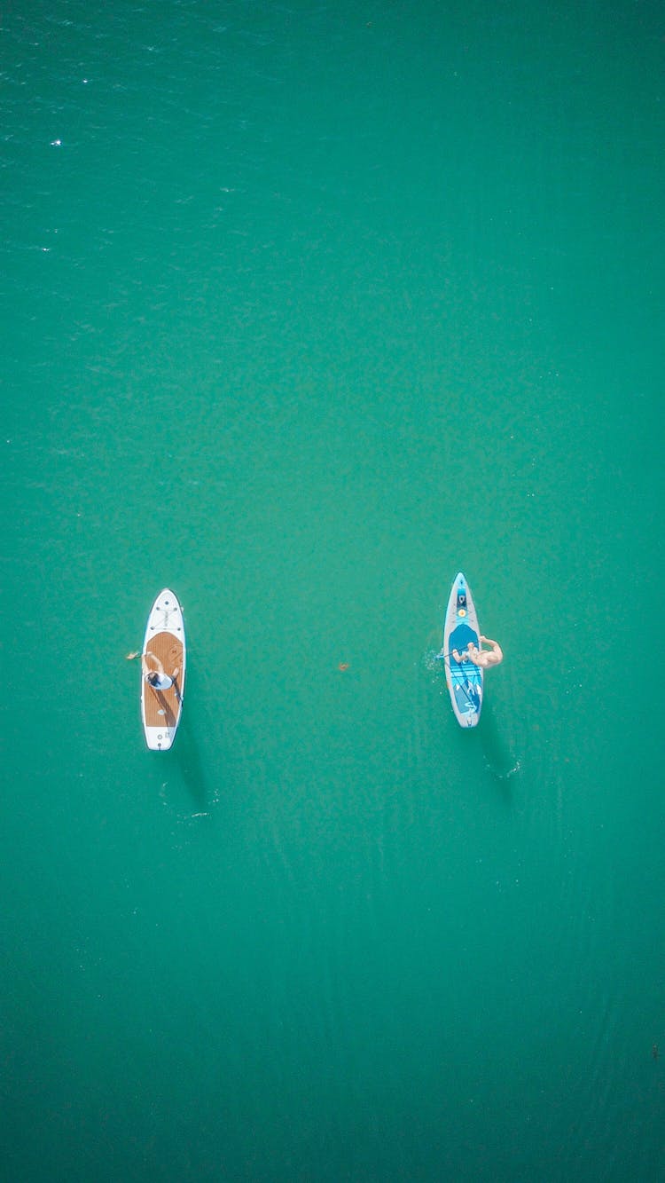 Overhead Shot Of People Paddle Boarding