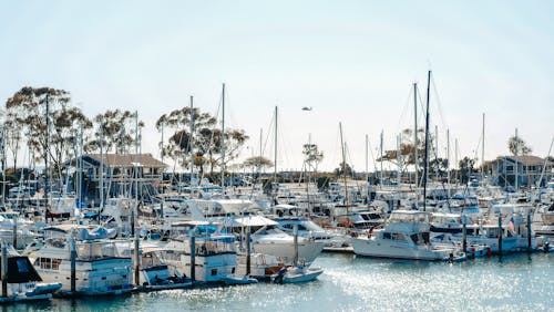 Boats Docked at the Marina