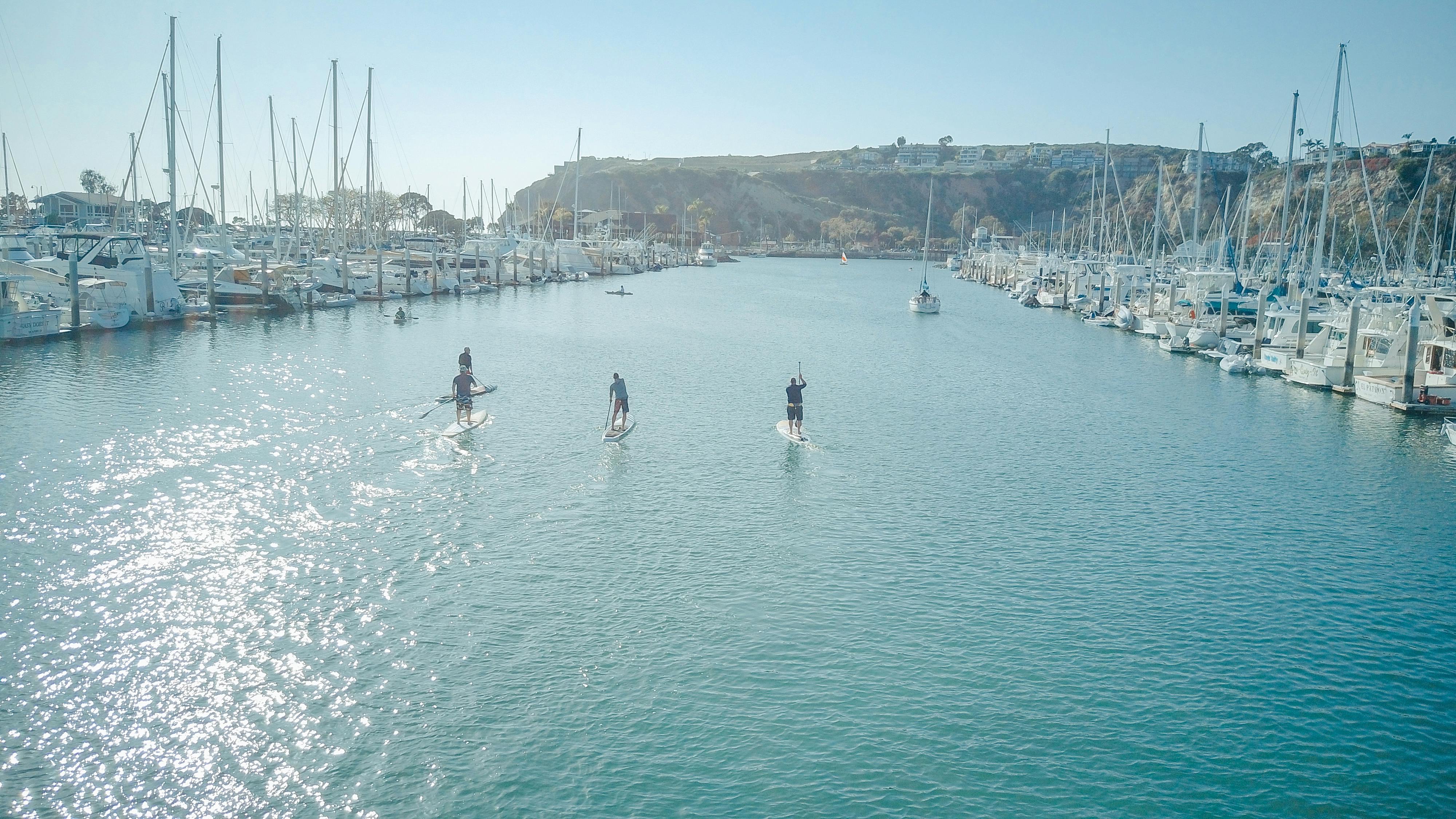 people paddleboarding by the harbor