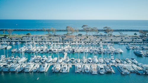 Drone Shot of Yachts on a Dock