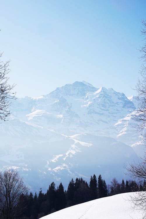 Imagine de stoc gratuită din acoperit de zăpadă, fotografiere verticală, iarnă