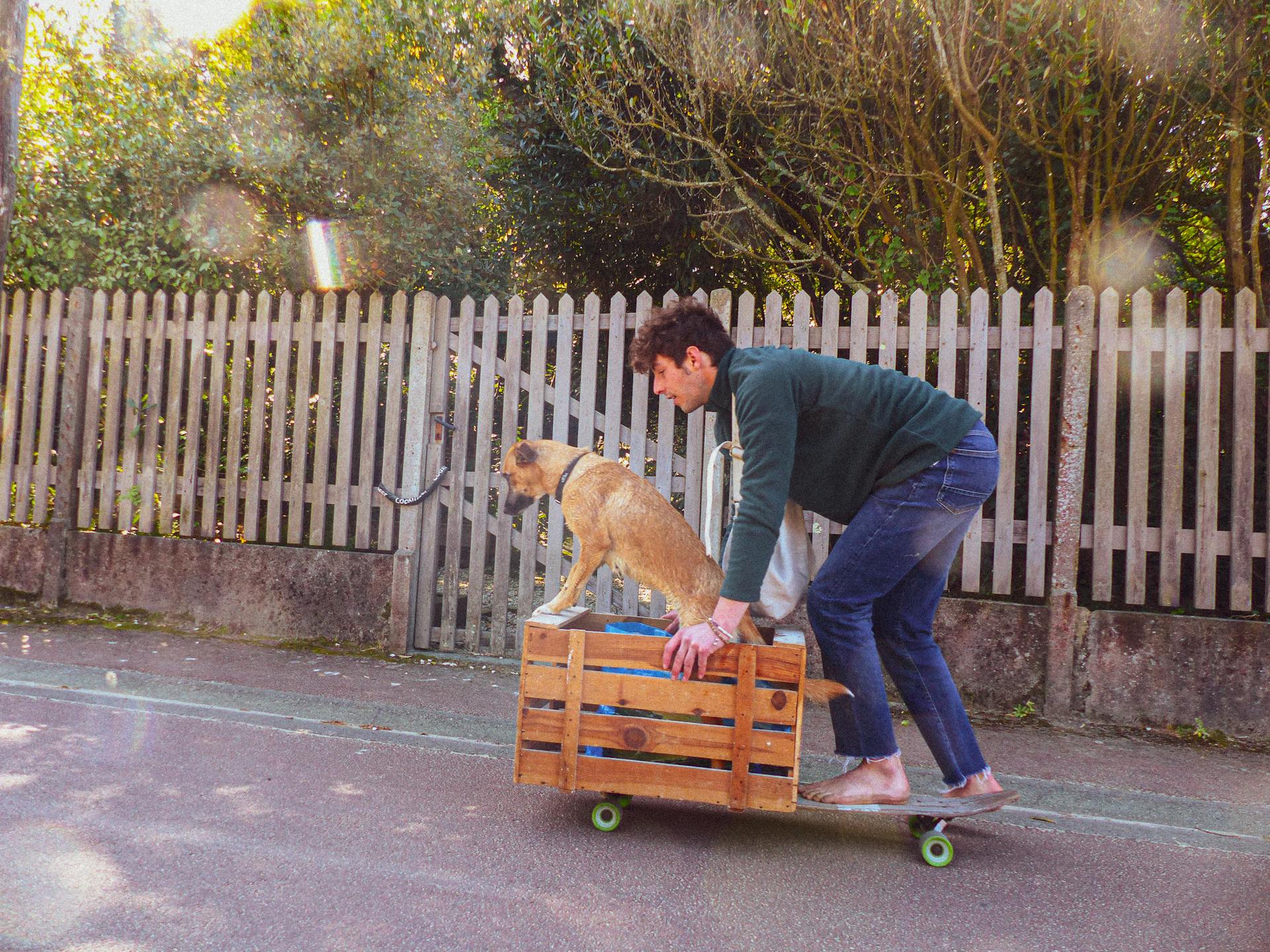 A Man Riding a Skateboard with His Dog on a Wooden Crate