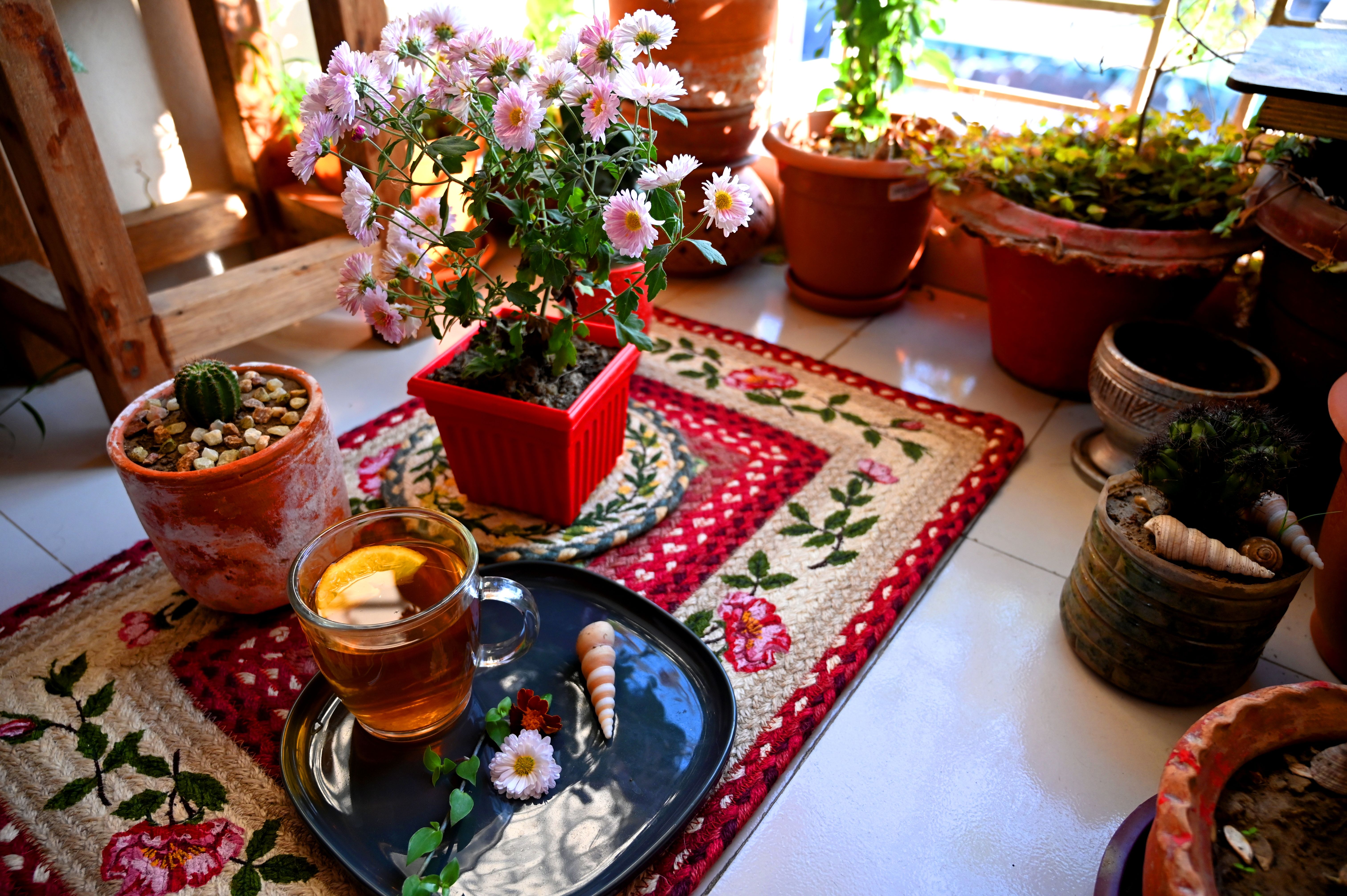 Warm tea corner with trays of snacks and soft lighting