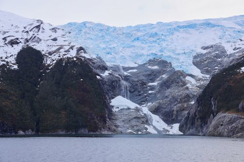冬, 南極大陸, 水域の無料の写真素材