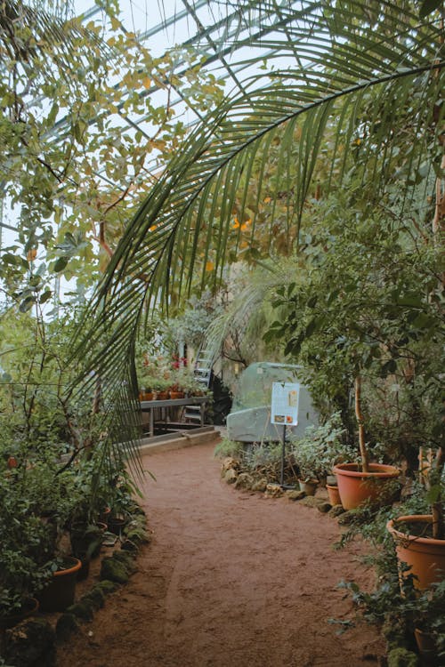 Pathway on a Botanical Garden