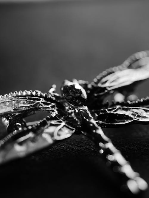 Monochrome Shot of an Accessory 