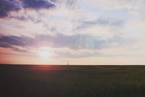 Grass Field Sunrise