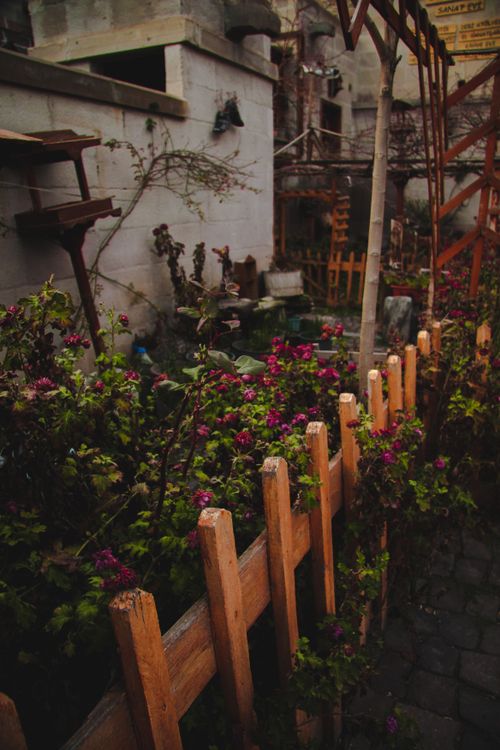Free A rustic garden with vibrant pink flowers and a wooden fence in Kayseri, Türkiye. Stock Photo