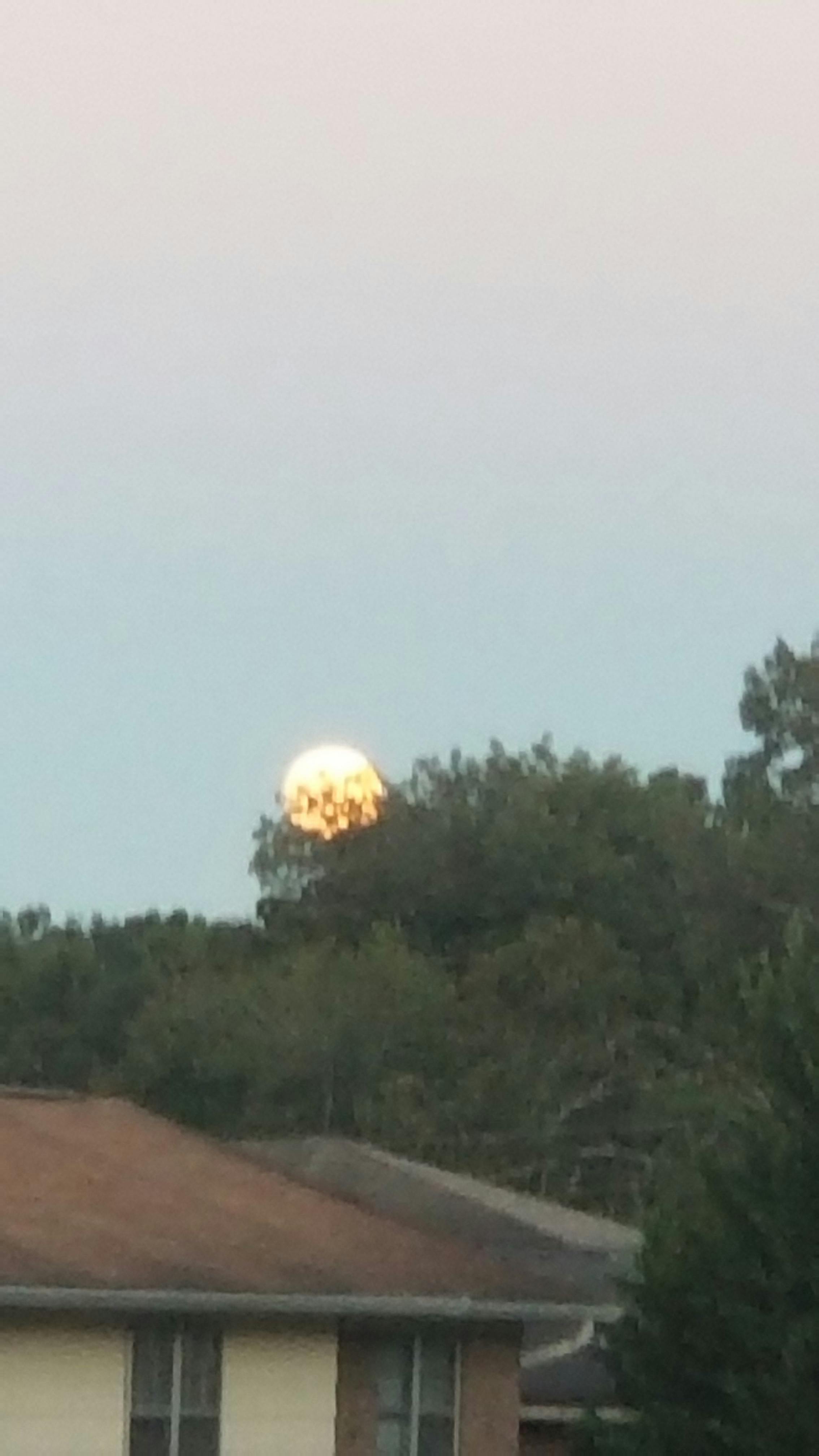 Best Seller Collection