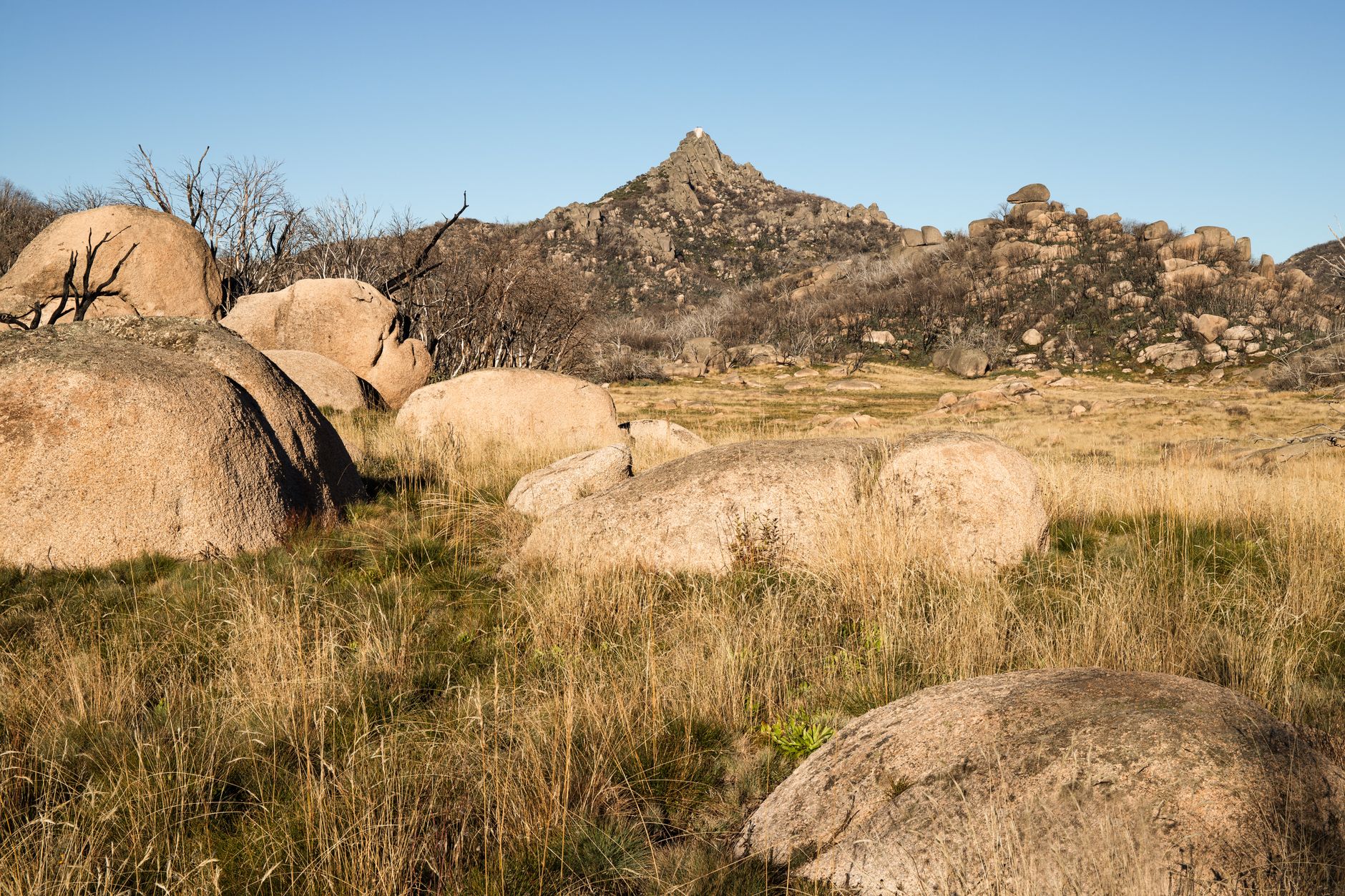 Popular sights in Diamond Valley Landmarks in Diamond Valley