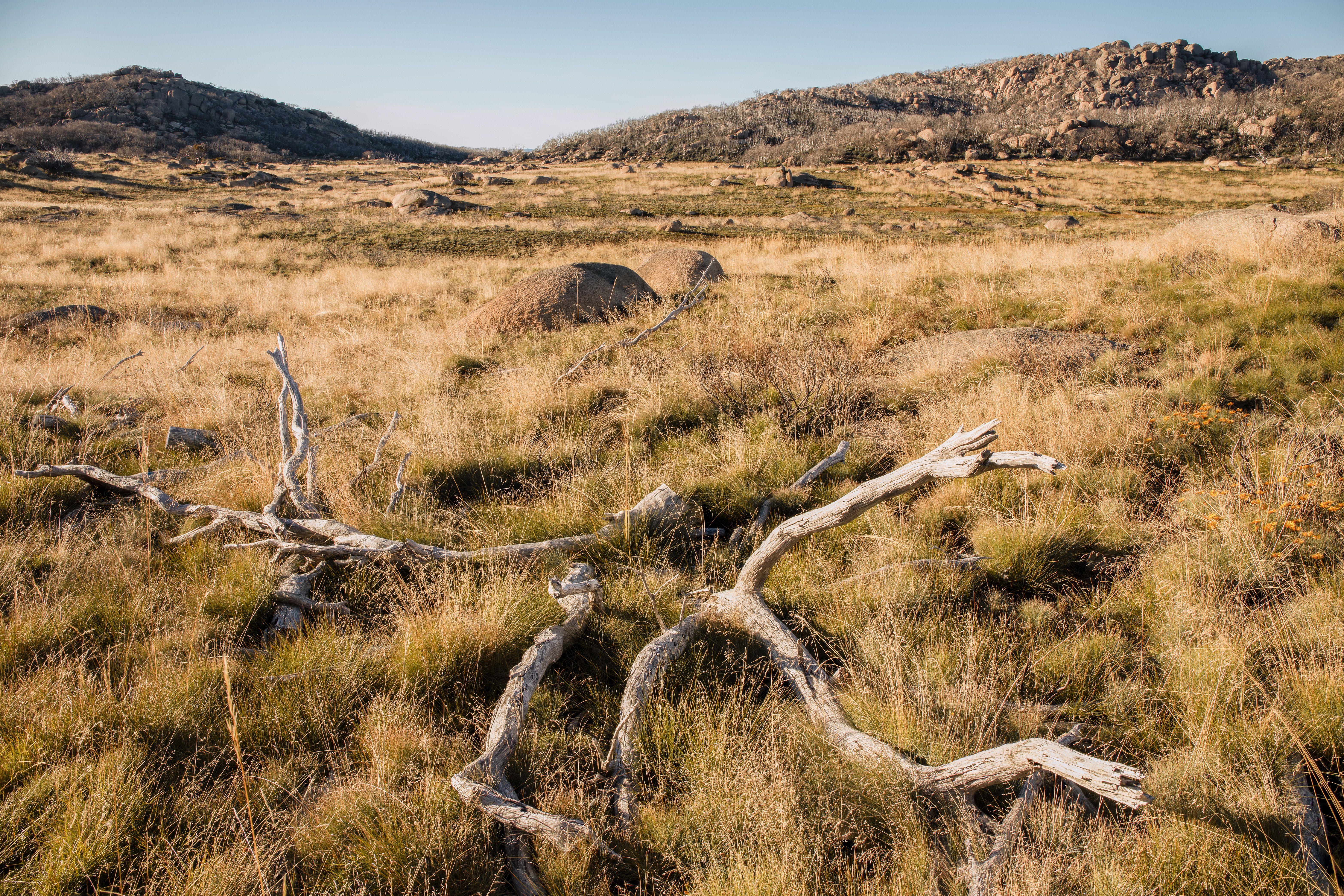 Australia gets a hotter, drier weather warning