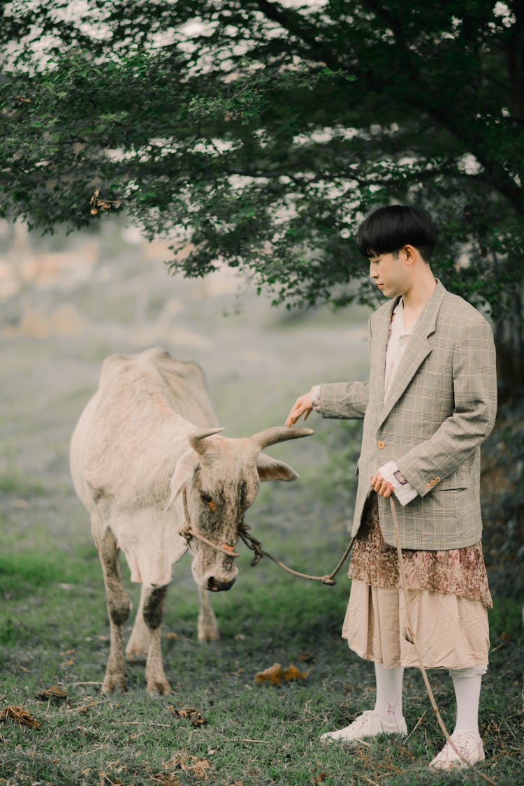 Photo Of A Man Petting A White Cow