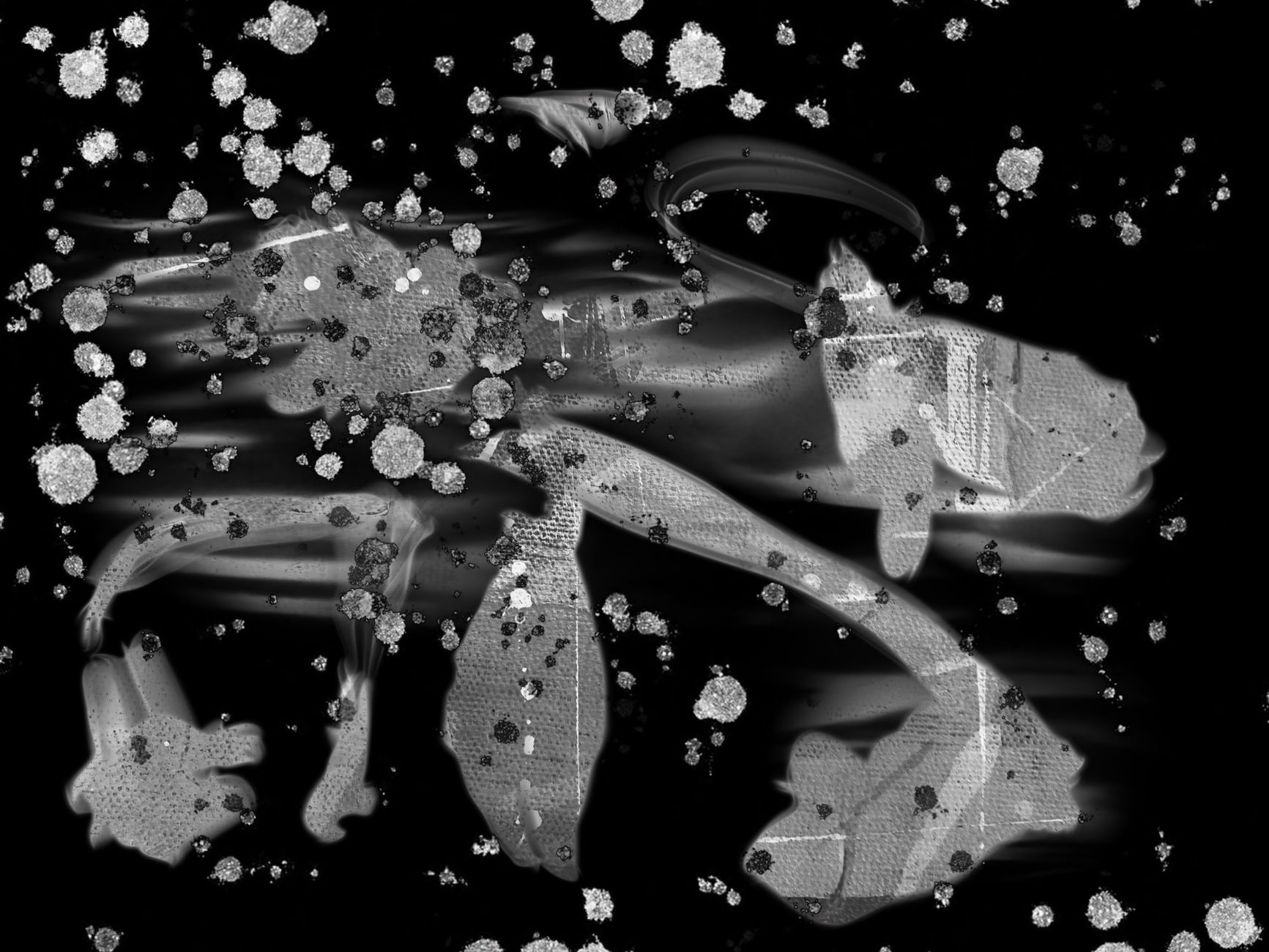 Monochrome abstract art featuring koi fish forms with a dynamic, textured effect.