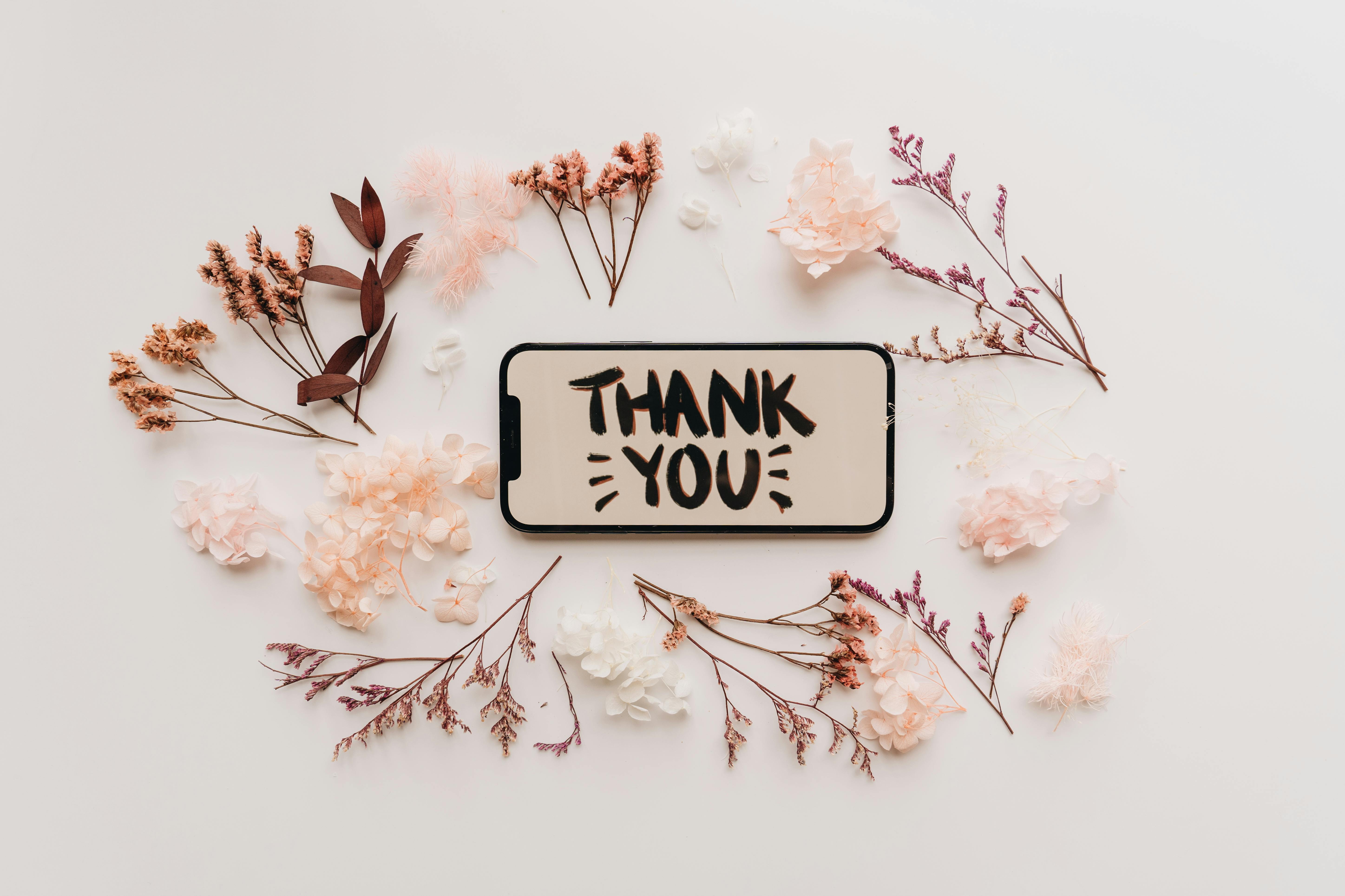 1000 Best Thank You Images  100 Free Download  Pexels Stock Photos