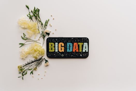 A smartphone with a 'Big Data' screen and floral arrangement on a minimalist background.