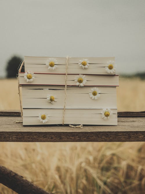Delicate Chamomile Flowers in Books Placed on Wooden Surface