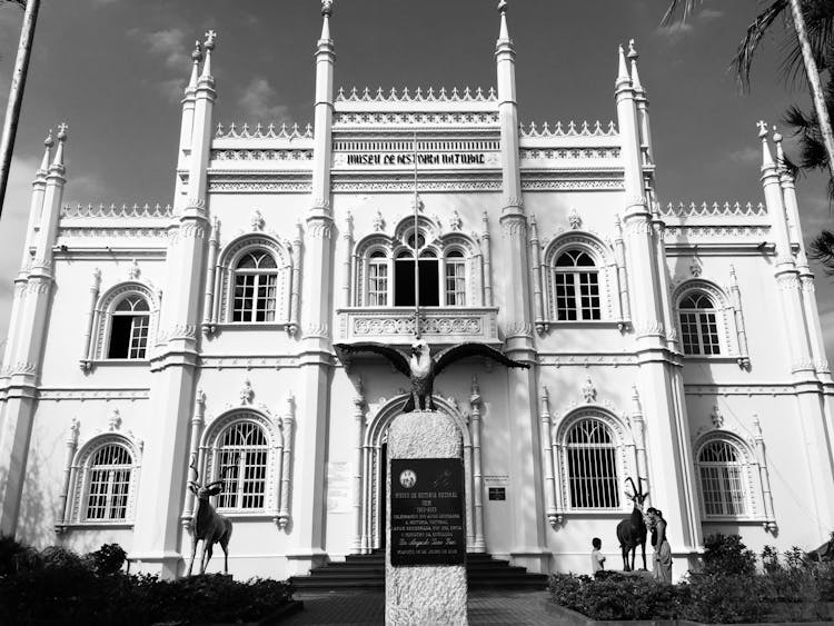 The Museu De Historia Natural In Mozambique