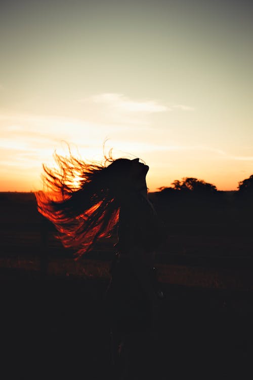 A Silhouette of a Person with Flying Hair