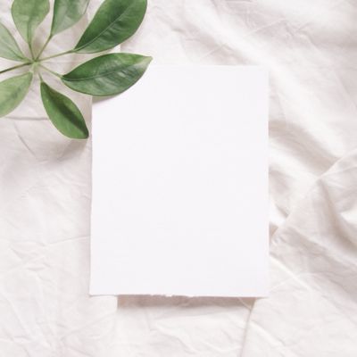 Sage paper study — photo by Elisabeth Ende on Pexels