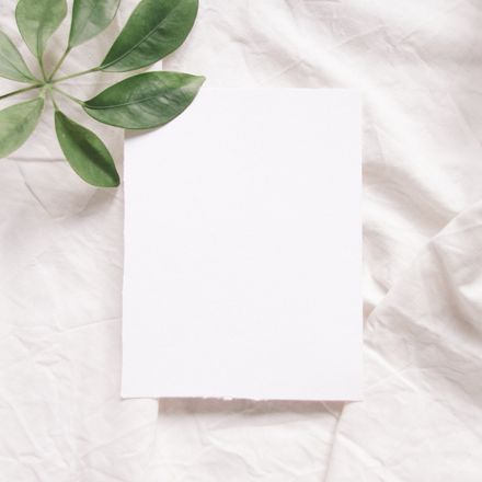 Blank notecard on cloth with green leaves — photo by Elisabeth Ende on Pexels