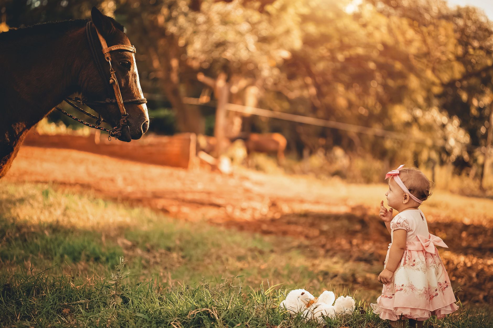 Animaux et nature pour enfants