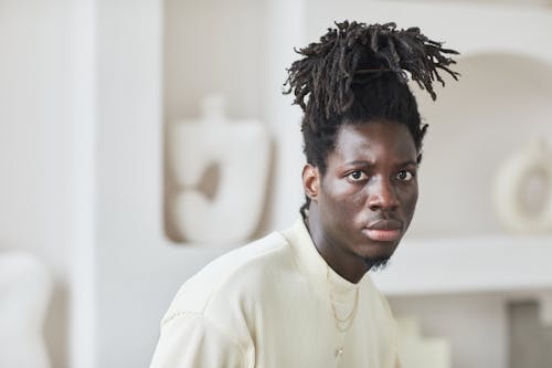 Gratis lagerfoto af afroamerikansk mand, dreadlocks, mode