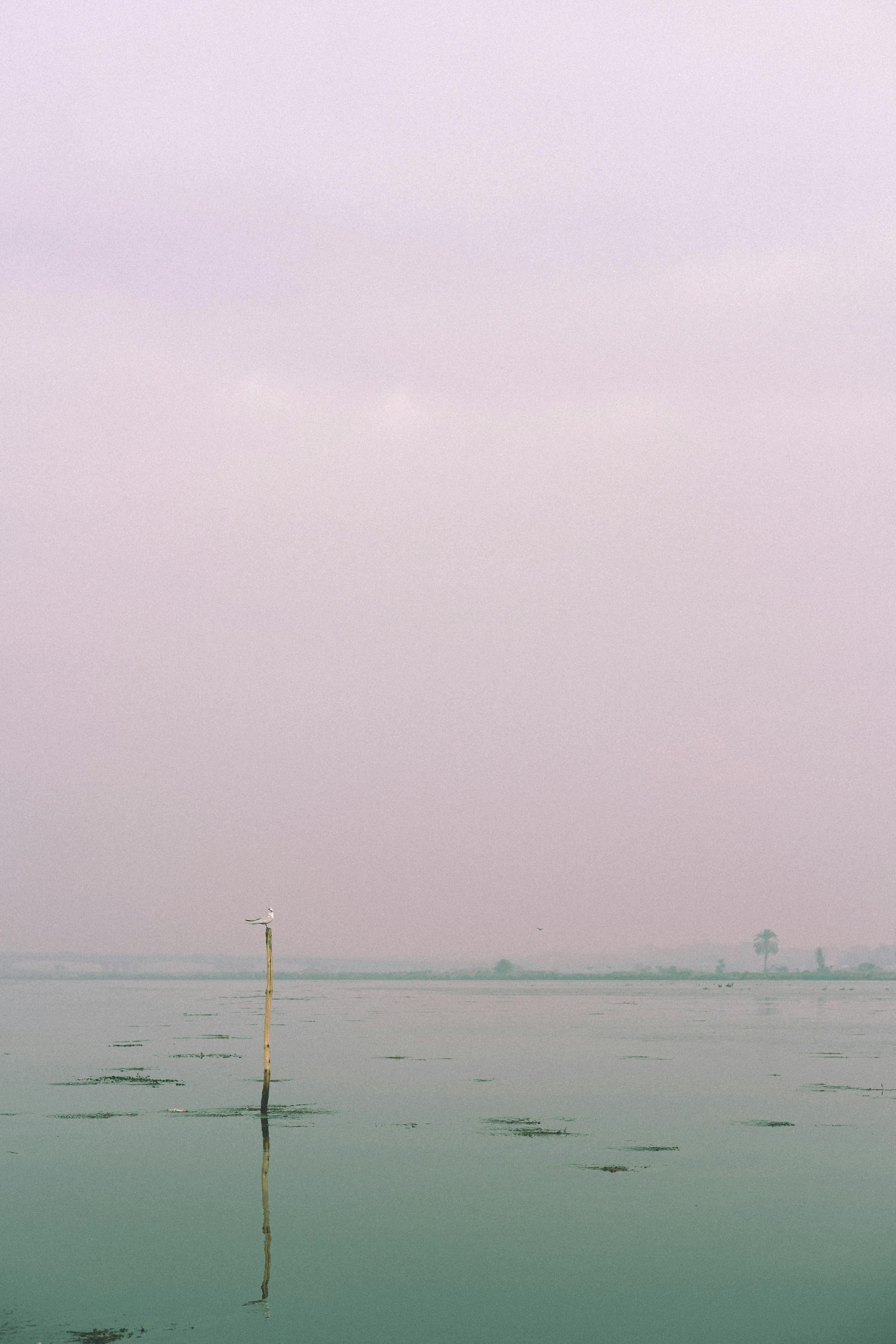 Peaceful lake scene in Cairo, Egypt with cloudy sky reflecting on still waters.