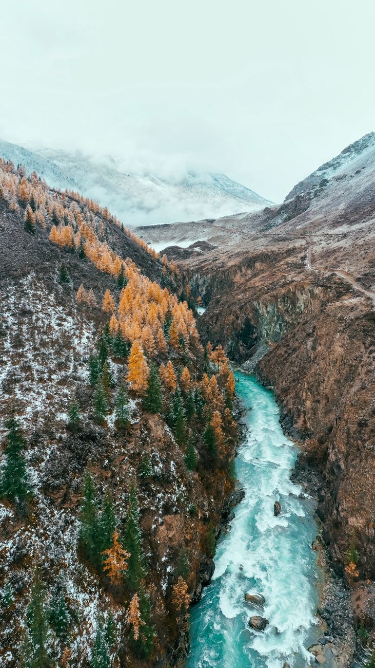 Stunning aerial view of a river cutting through the Altai Mountains' autumn landscape, with snow-dusted trees.