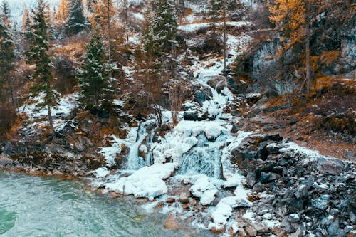 A Creek in a Forest during Winter