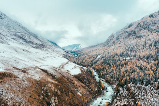 Breathtaking drone shot over the snowy Altai Mountains with a winding river and forest. Perfect for nature lovers.