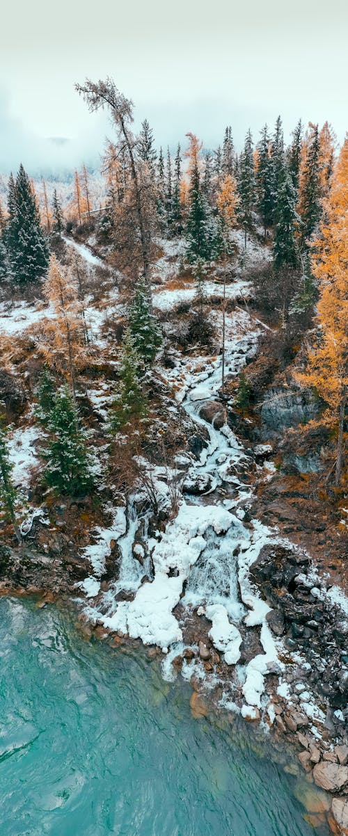 An Aerial Shot of a Creek in a Forest