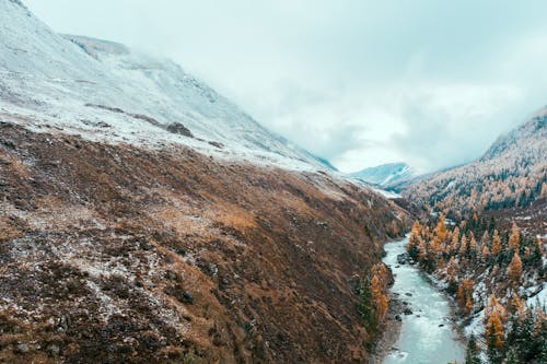 Immagine gratuita di ambiente, congelando, fiume