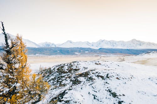 Imagine de stoc gratuită din anotimp, congelat, fotografie cu natură