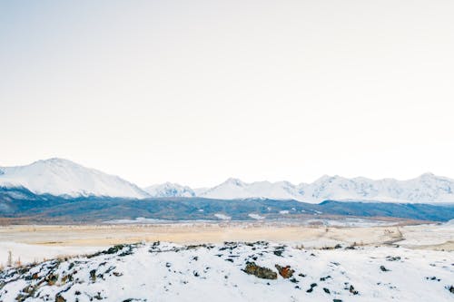 Бесплатное стоковое фото с живописный, зима, мороз