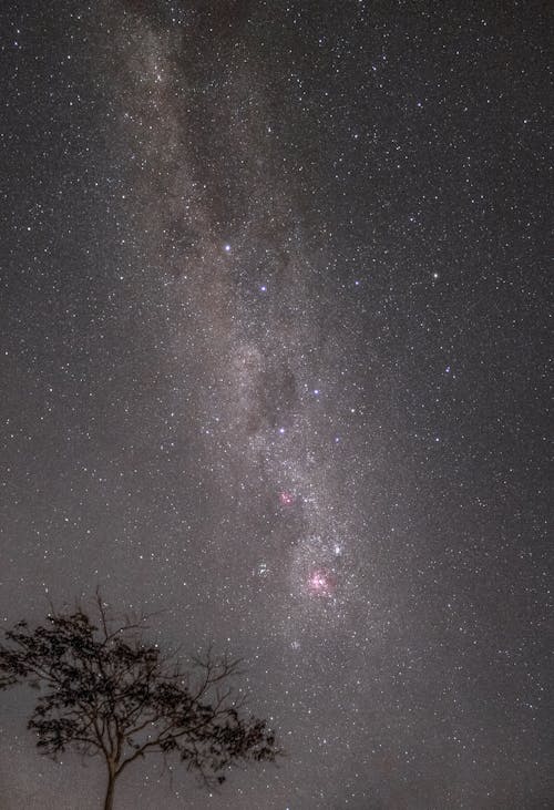 夜, 夜空, 天体写真の無料の写真素材