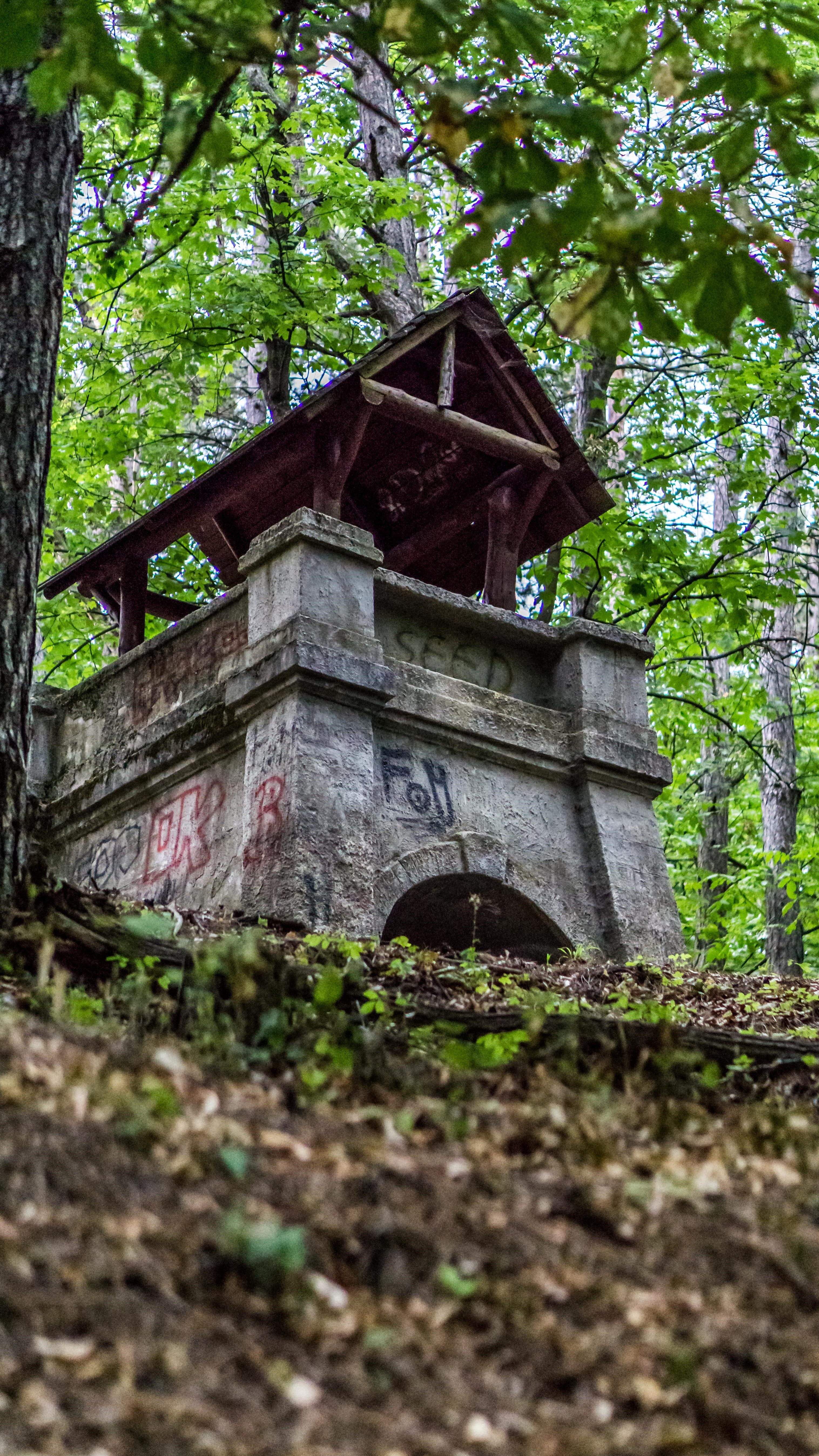 An old stone structure stands abandoned in a lush green forest, surrounded by trees.