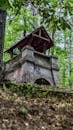 An Abandoned Building in a Forest