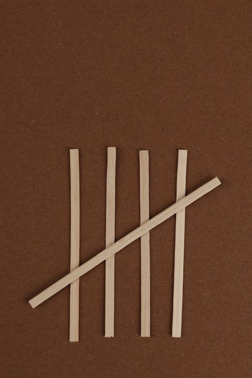 Sticks on Brown Background