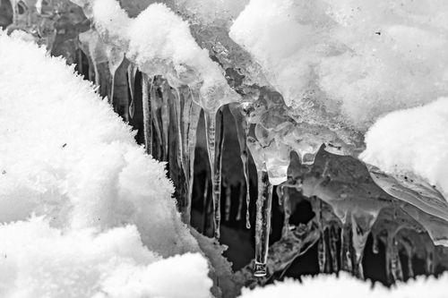 Free A detailed monochrome close-up of icicles hanging from snow, capturing winter's frozen elegance. Stock Photo