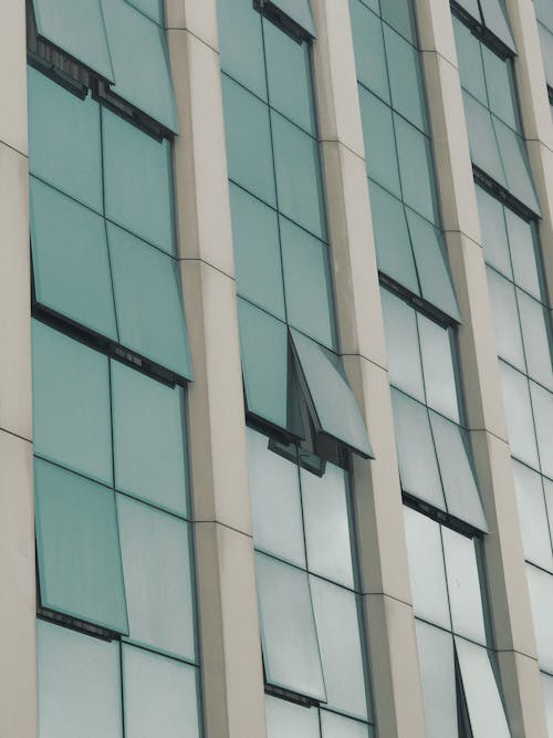 Close-Up Shot of Glass Windows of a Building