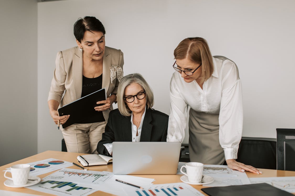 Free Elderly Women in a Business Meeting Stock Photo