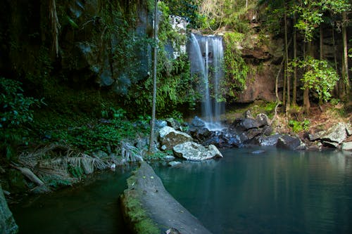Waterfall and calm lake with clean water located near lush cliff in tropical rainforest