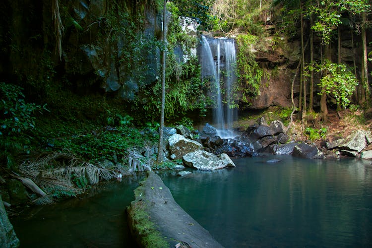 Waterfall And Pond In Jungle