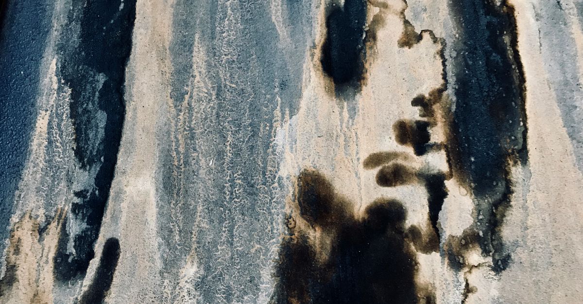 Health Risks Associated with Mold