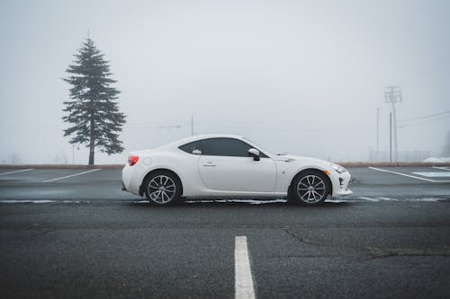 Modern white sport car parked against road marked parking area in empty foggy street near large pine tree